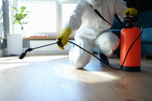 Professional Pest Control in New Orleans Station, LA