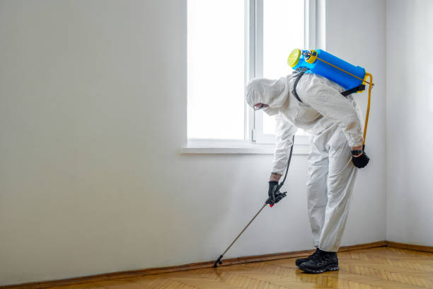 Best Emergency Pest Control  in New Orleans Station, LA