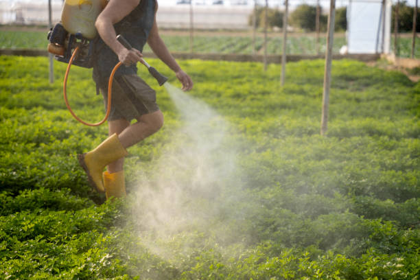 Best Commercial Pest Control Services  in New Orleans Station, LA