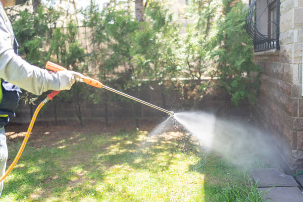 Best Residential Pest Control  in New Orleans Station, LA