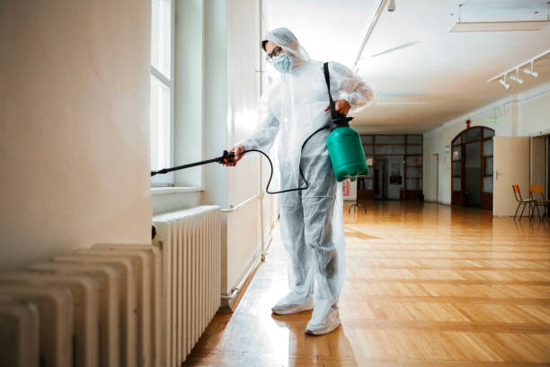 Best Best Pest Control Companies  in New Orleans Station, LA
